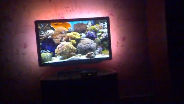 аквариум №2 смотреть онлайн