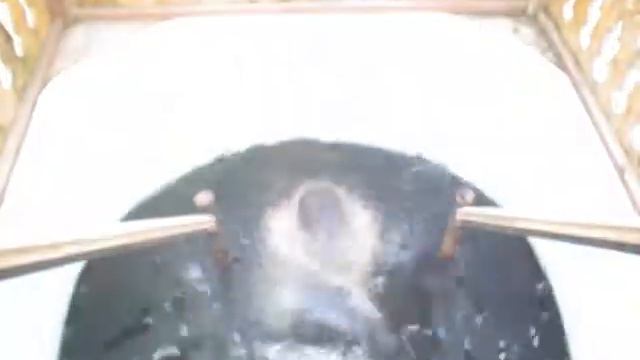 В купель специально для ЩТВ смотреть онлайн