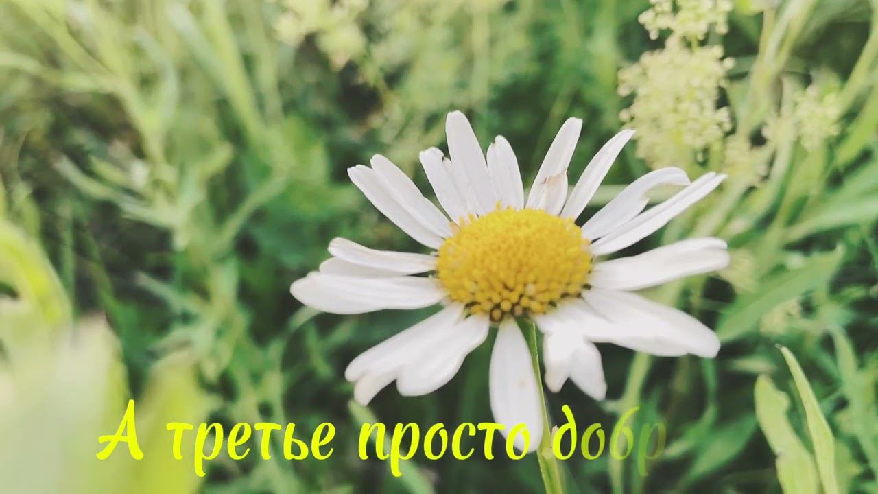 С днём семьи, любви и верности!