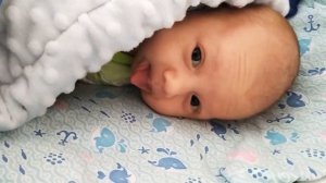 Новорожденный 1 месяц