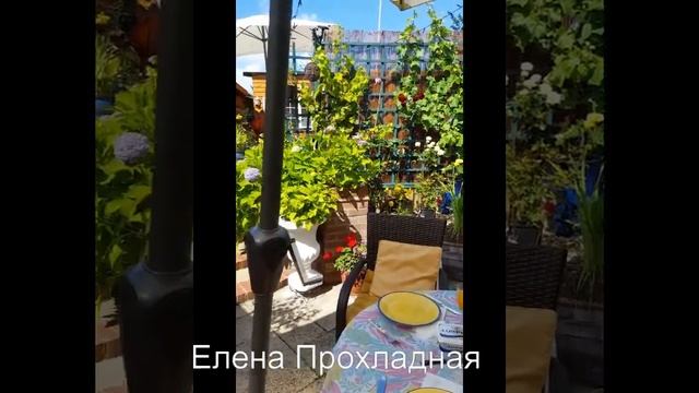 1. МАМИН САД В АНГЛИИ / English garden смотреть онлайн