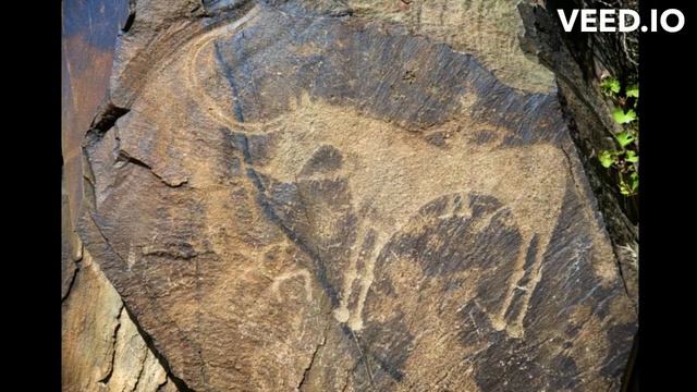 Доисторические млекопитающие проживающие на территории современной России. смотреть онлайн