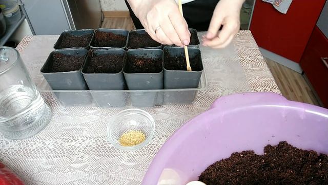 Посев перца Рамиро из магазина смотреть онлайн
