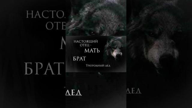 ЦИТАТКИ #2😁😂🤣