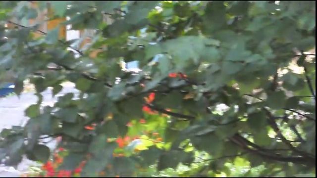 База Увильды на одноимённом озере Увильды.