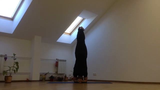 САЛАМБА ШИРШАСАНА смотреть онлайн