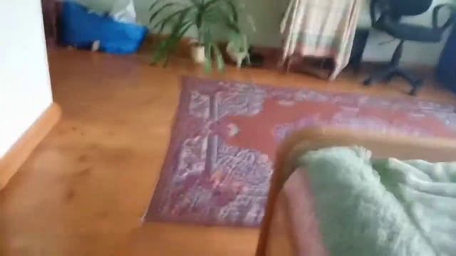 Вызов Духов Рейк *ОН ПРОЛОМАЛ ДВЕРЬ* смотреть онлайн