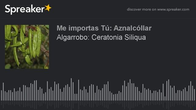 Algarrobo: Ceratonia Siliqua (hecho con Spreaker) смотреть онлайн