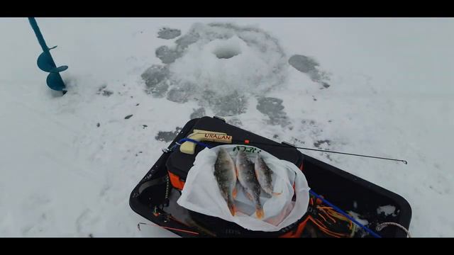 Чемпионат УО по зимней блесне. 25.12.2022г смотреть онлайн