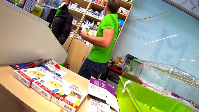 ВЛОГ Первый ДЕНЬ с СОБАКОЙ ПОКУПКИ! смотреть онлайн