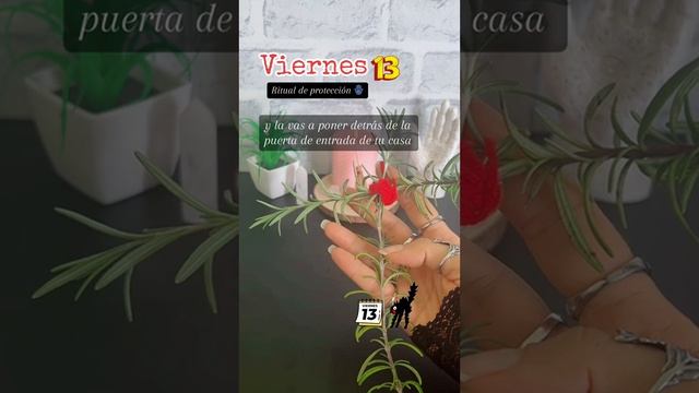 Ritual de Protección para el viernes 13 смотреть онлайн