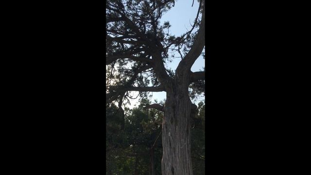 Большой Утриш. Смотровая площадка смотреть онлайн