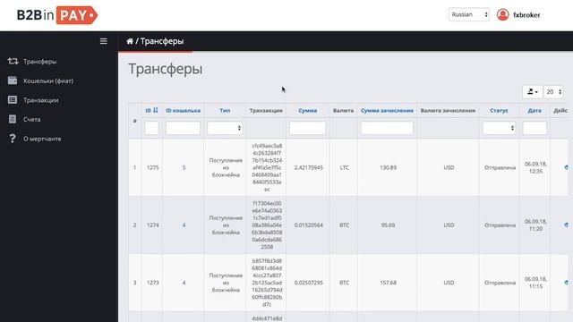 Приём криптовалютных платежей ? B2Broker – Провайдер ликвидности и технологий смотреть онлайн
