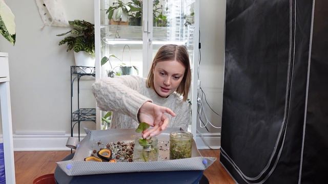 New plants & repot 🌺 plus an orchid show! смотреть онлайн