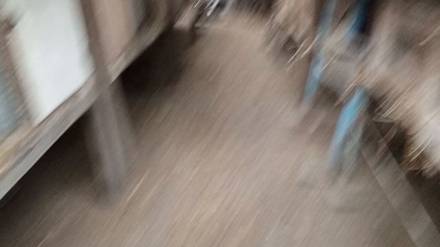 краткий обзор моего кроличьего хозяйства