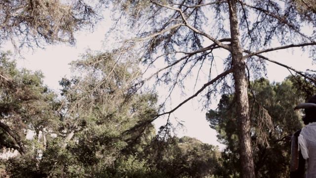 Mega64: Skyrim Fan Film смотреть онлайн