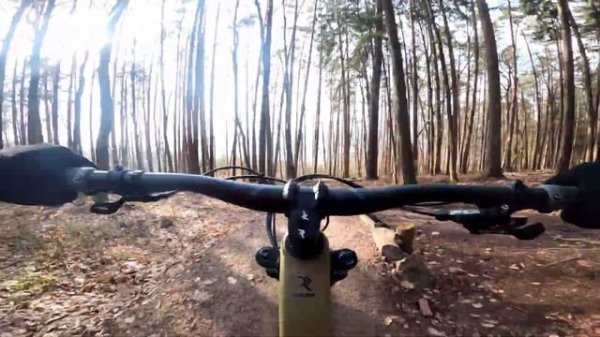 Down Haun Trail | Raw | Radon swoop