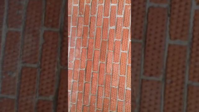 ORION - Отличный и недорогой велосипед. смотреть онлайн