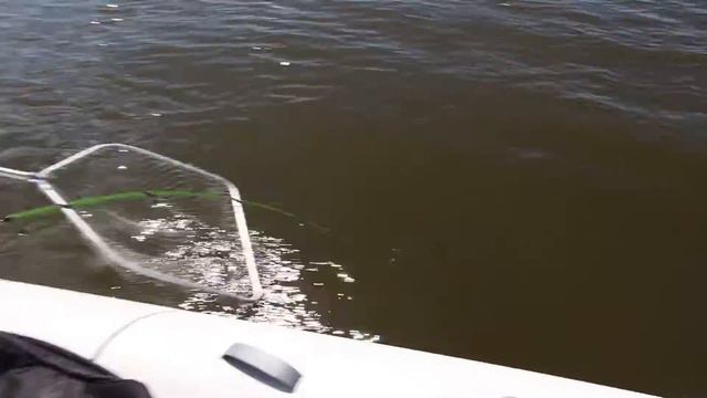 Ваня Черноусов поймал сома 1 смотреть онлайн