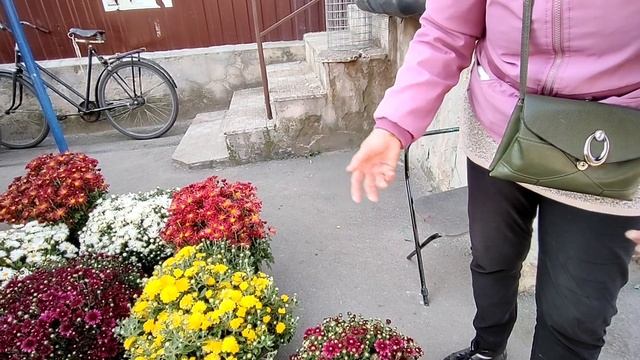 в Балаклее ( сдали документы на паспорт смотреть онлайн