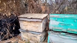 Почему Люди бросают пасеку!