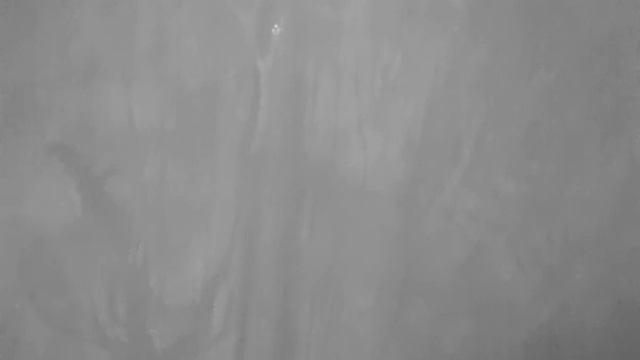 FLIR Vue Pro 640 Test смотреть онлайн