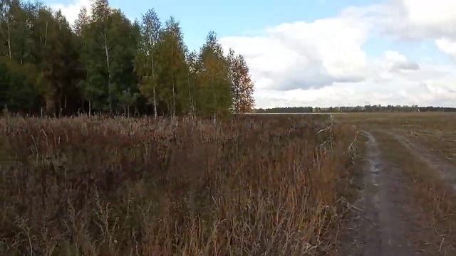 Серые куропатки. смотреть онлайн