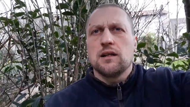 Амстафф самая крутая порода собак в мире. Почему я выбираю Амстаффа??? смотреть онлайн