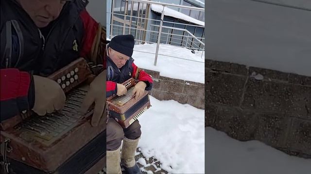 баян..мороз.. смотреть онлайн