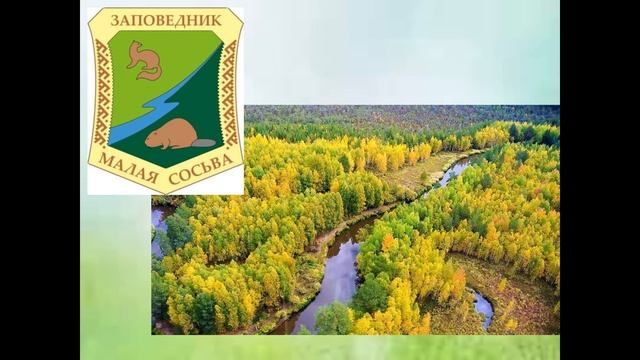 45 лет со дня создания «Государственного природного заповедника "Малая Сосьва" имени В.В.Раевского» смотреть онлайн