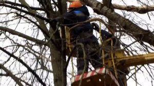 УСТАНОВКА ДОМИКОВ ДЛЯ БЕЛОК