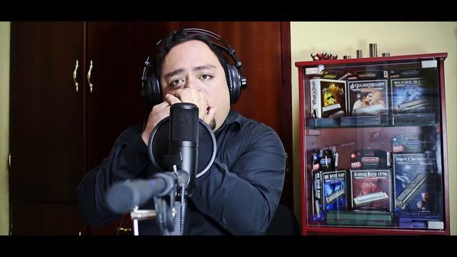 Hohner Golden Melody - Blues test harmonica смотреть онлайн