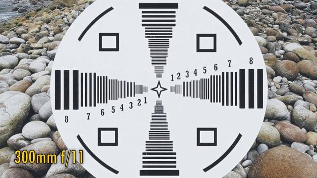 Tamron 150-500mm F/5-6.7 Di III VC VXD Lens Review With Samples (Full-frame & APS-C)