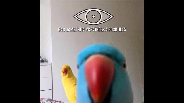 Успешные отрасли в России и государство | Ватоадмин смотреть онлайн