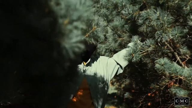 Проведи лето с комфортом #южносахалинск #женскаяобувь #женскаяодежда #сахалин смотреть онлайн