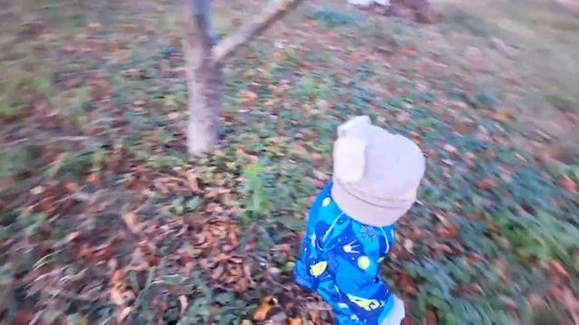 ПОЕЗДКА НА ДАЧУ//СТОЛЕТНИЙ оргАн//ПАРИКМАХЕРСКАЯ НА ДОМУ//МАМА И СТАС