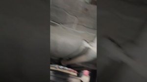 Тойота корона премио замена задних сайлентблоков и снятие балки.