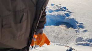 Аэрация пруда. Как добавить воздух в пруд с рыбой, зимой? #пруд #рыба #пруднадаче