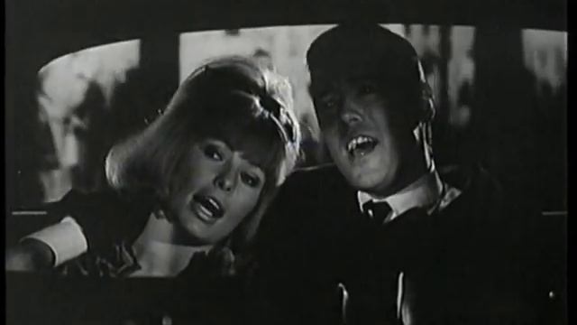 Vivi Bach & Dietmar Schönherr - Zwei in einer großen Stadt смотреть онлайн