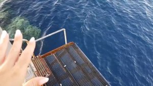 REHANA SHARM AQUA PARK 4* ОБЗОР ПЛЯЖА И УЖИНА #ШармЭльШейх #Египет #ОТПУСК #sharm #еда #rehana