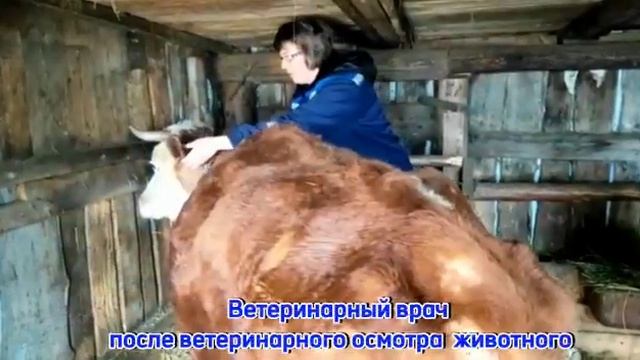 Зимнее предчувствие