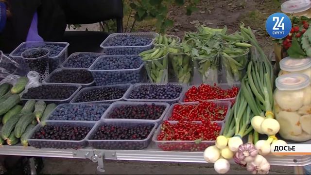 Стихийные рынки в Сургуте постараются сделать благоустроенными смотреть онлайн