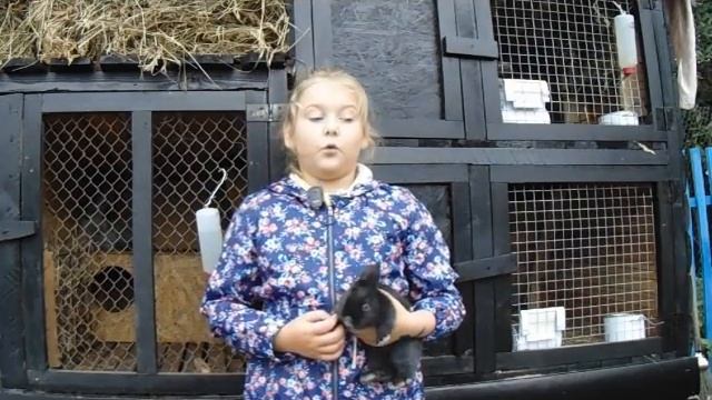 Крольчата уже едят сами смотреть онлайн