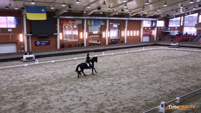 АННА ДЯЧЕНКО И УКРАИНСКАЯ ВЕРХОВАЯ ПОСЕЙДОН. СОРЕВНОВАНИЙ ПО ВЫЕЗДКЕ смотреть онлайн