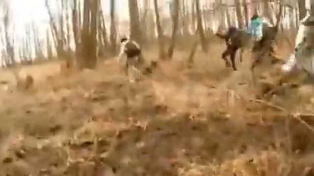 Школа инструкторов #teamhiker УТП 8 апреля 2016 смотреть онлайн