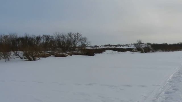 Обзорчик подводной видеокамеры Eyoyo CR110// Жизнь в деревне