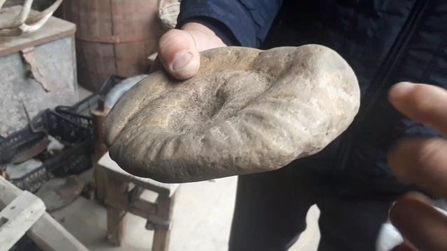 БЕЛЕМНИТЫ или ГВОЗДИ с КОВЧЕГА/Знаменитый метод анализа Марата Макажо/2/ смотреть онлайн