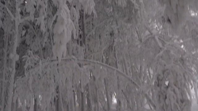 Побережье реки Енисей, город Дивногорск, январь 2021 смотреть онлайн