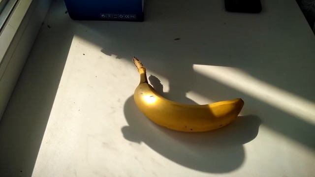 Прожигаем предметы лупой!!! смотреть онлайн