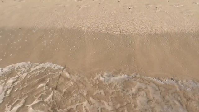 Прогулка с Equinox 900. На пляже копайте всё.